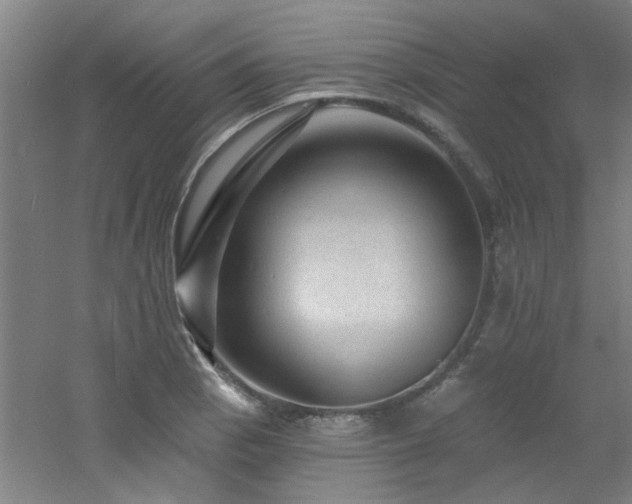 X0000060811129200511101446