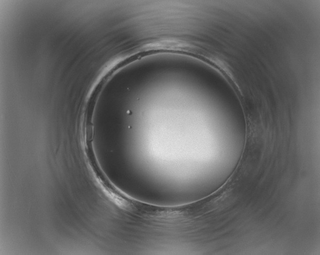 X0000060811131200511101446