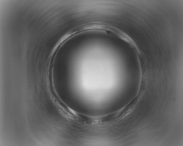 X0000060811146200511101446