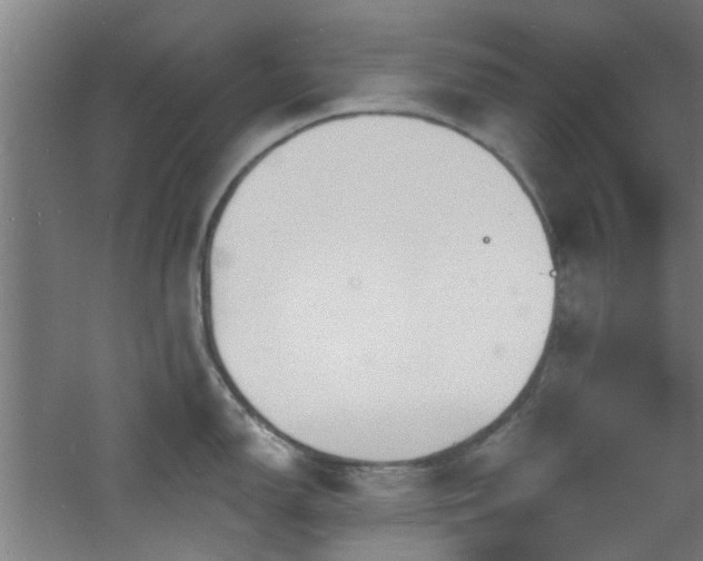 X0000060811150200511101446