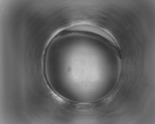 X0000060811151200511101446