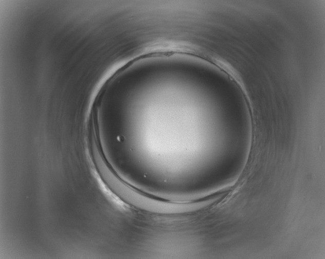 X0000060811152200511101446