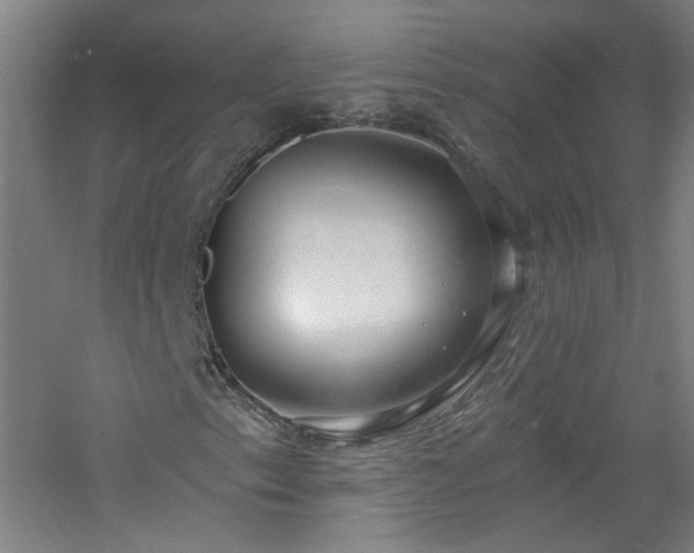 X0000060811153200511101445