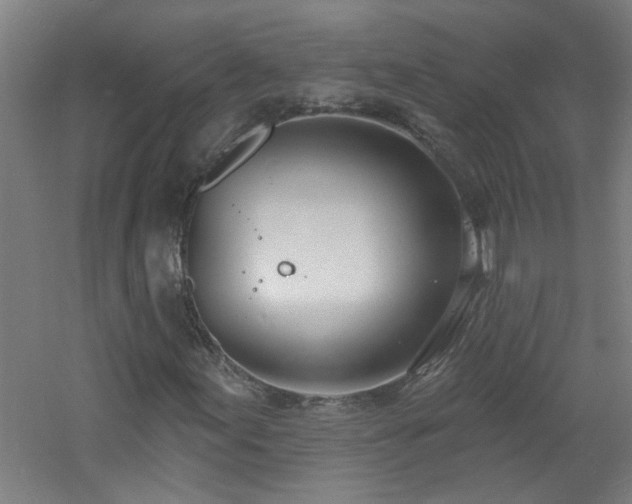 X0000060811155200511101445