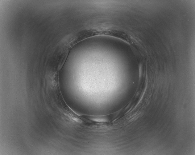 X0000060811156200511101445