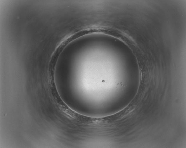 X0000060811160200511101445