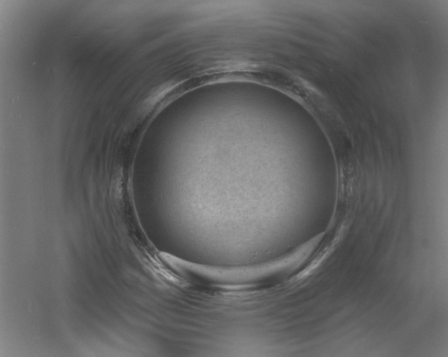 X0000060811161200511101445