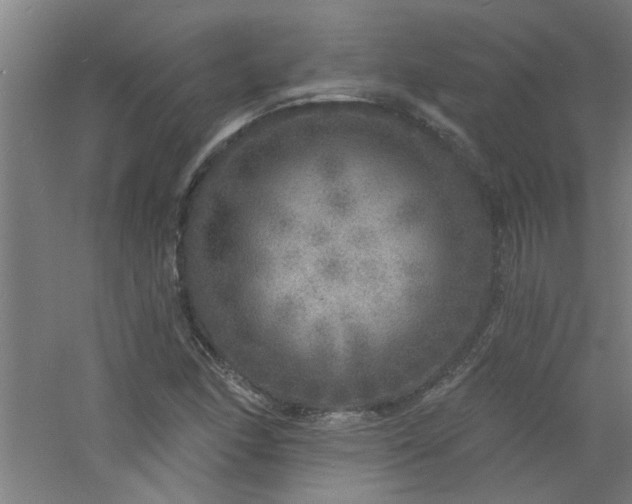 X0000060811166200511101445