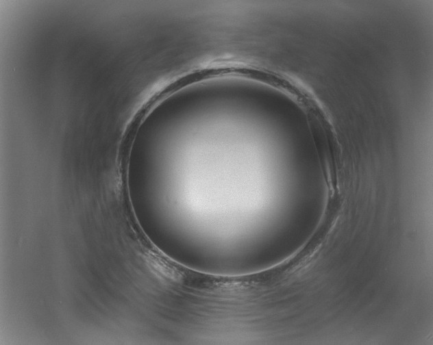 X0000060811167200511101445