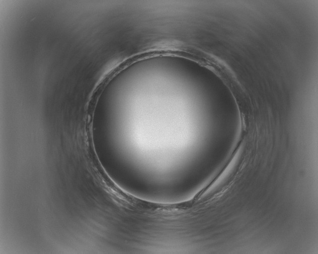 X0000060811168200511101445