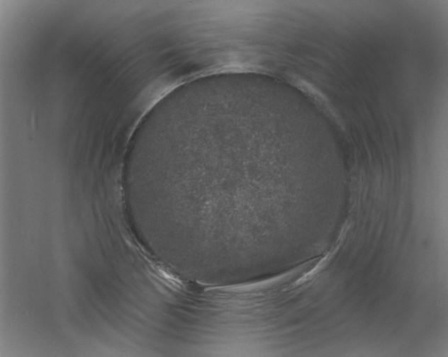 X0000060811170200511101445