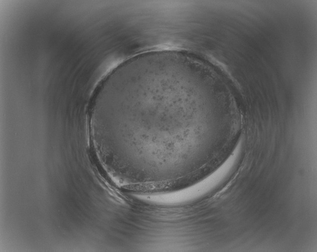 X0000060811171200511101445