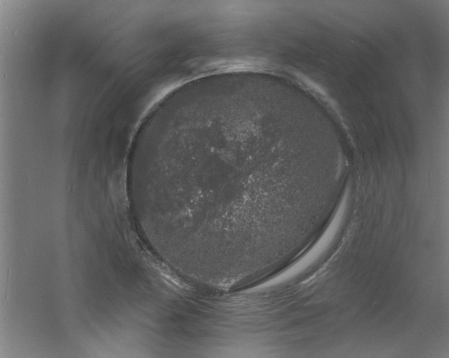 X0000060811174200511101445