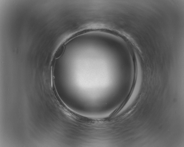 X0000060811175200511101445