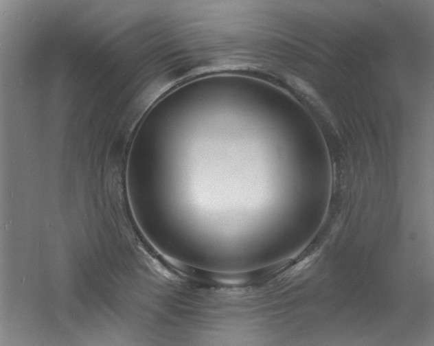 X0000060811177200511101445