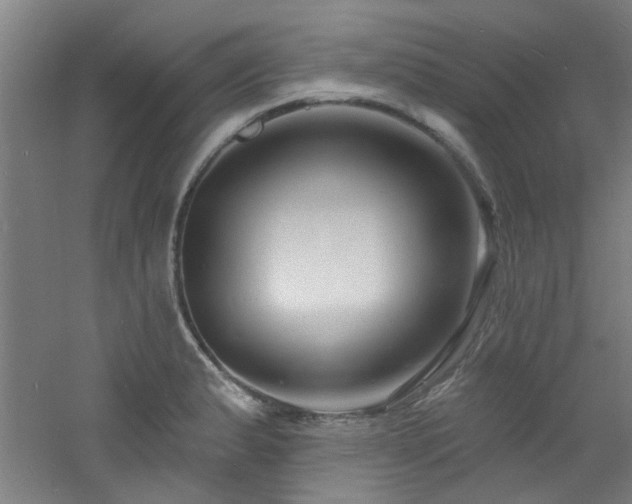 X0000060811183200511101445