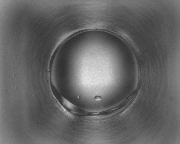 X0000060811184200511101445