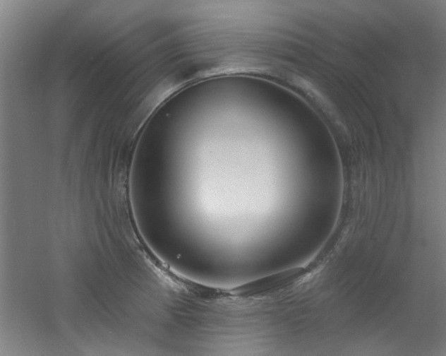 X0000060811185200511101445