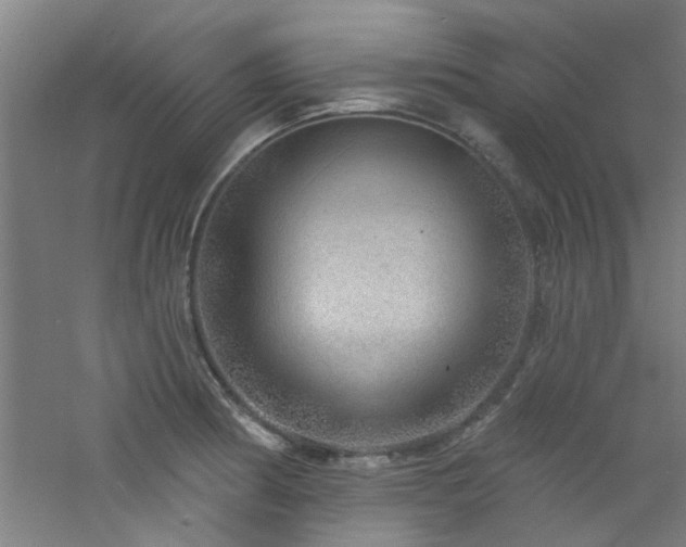 X0000060811186200511101445