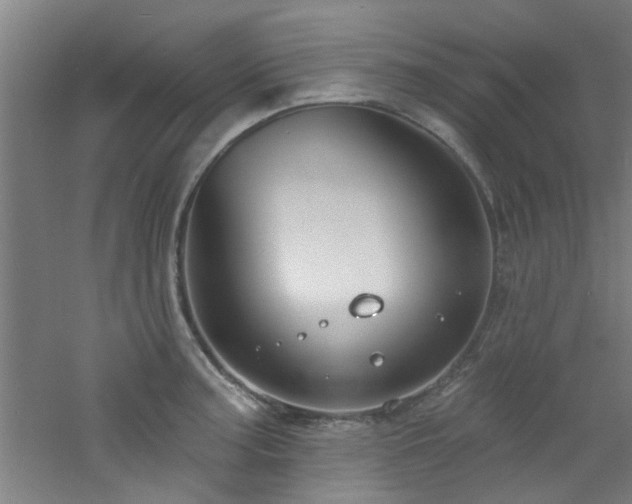 X0000060811187200511101445