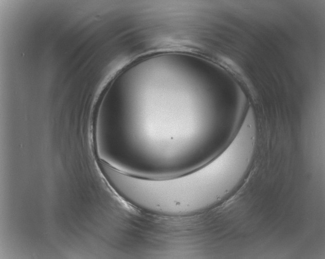 X0000060811188200511101445