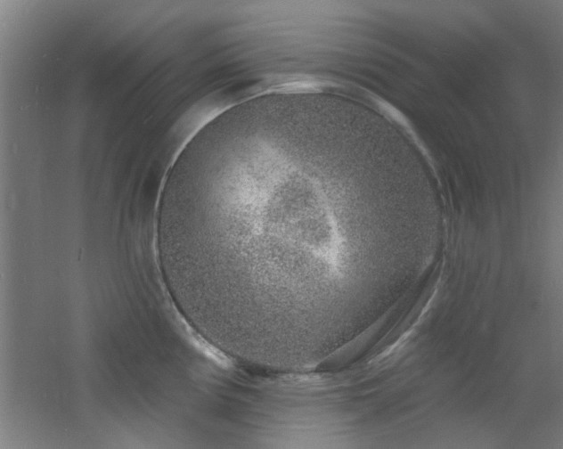 X0000060811194200511101445