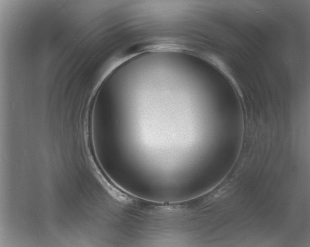 X0000060811195200511101445