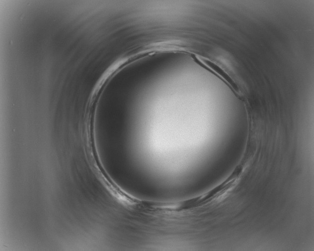 X0000060811196200511101445