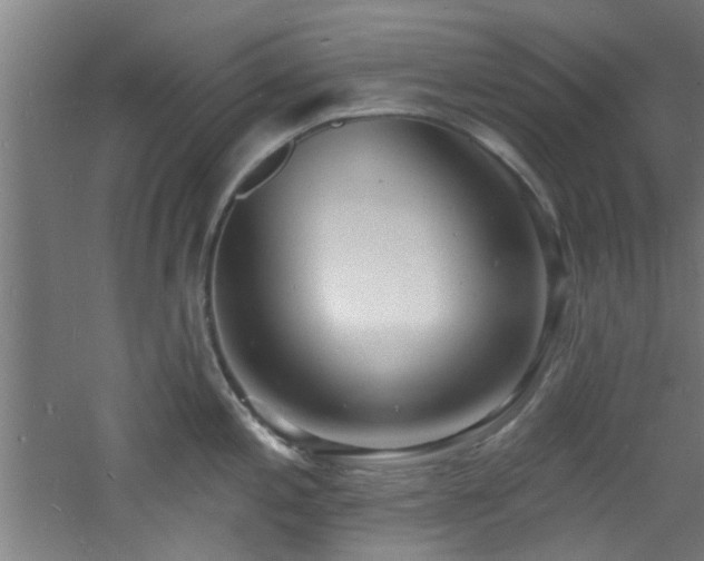 X0000060811197200511101445