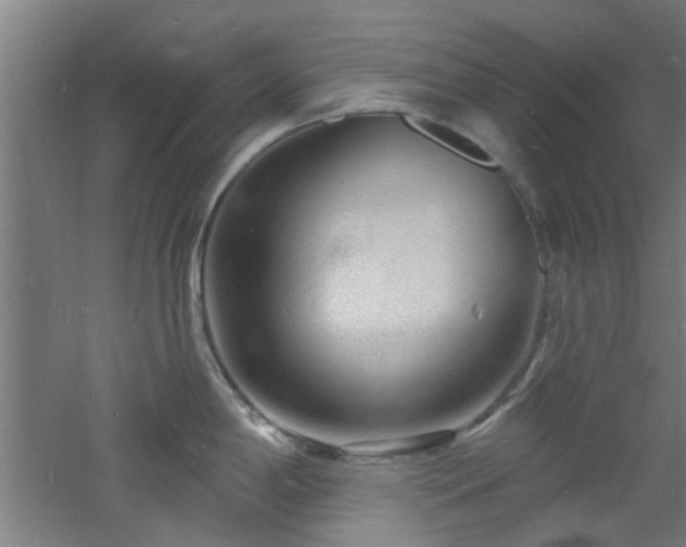 X0000060811198200511101445