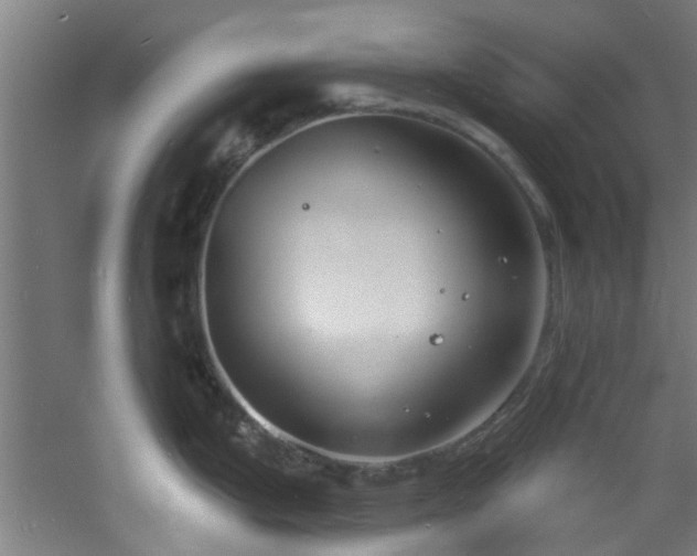 X0000060811199200511101445