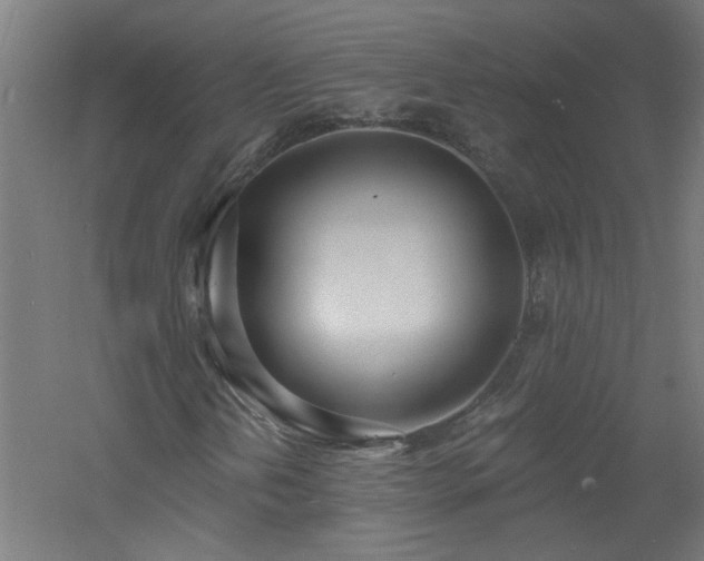 X0000060811202200511101444