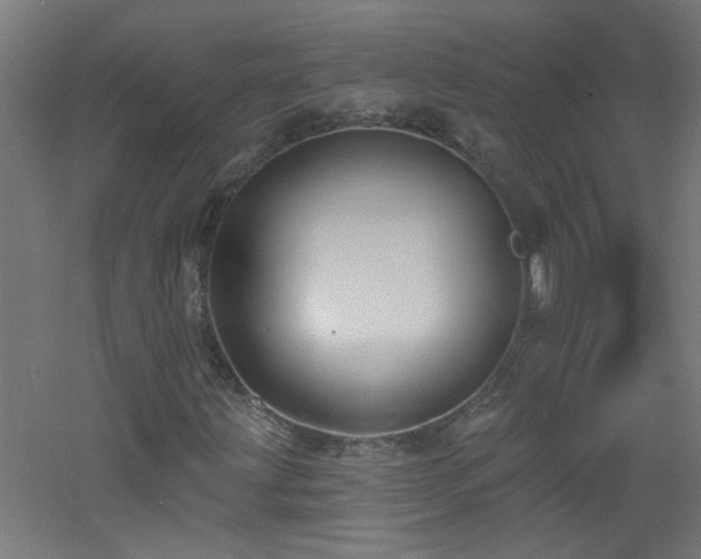 X0000060811203200511101444