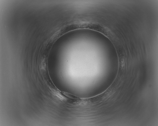 X0000060811204200511101444