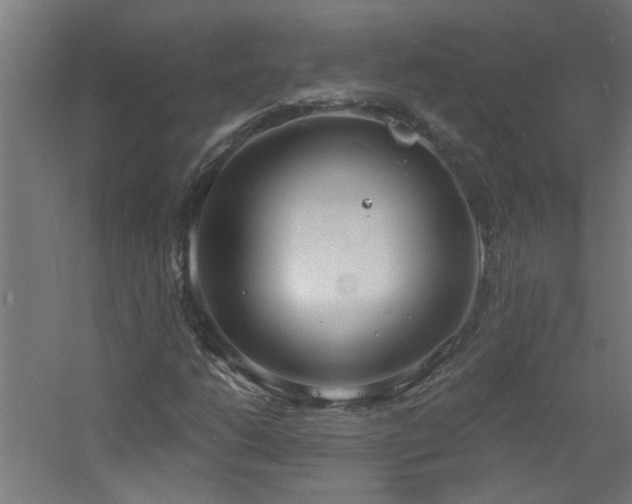 X0000060811206200511101444