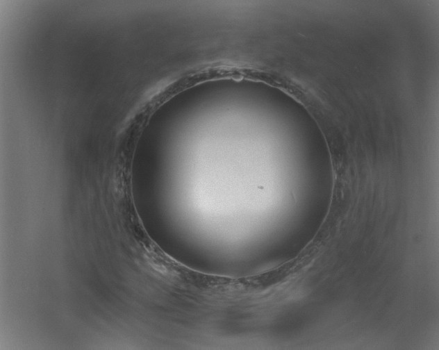 X0000060811207200511101444