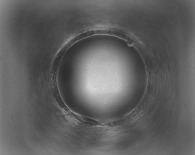 X0000060811208200511101444