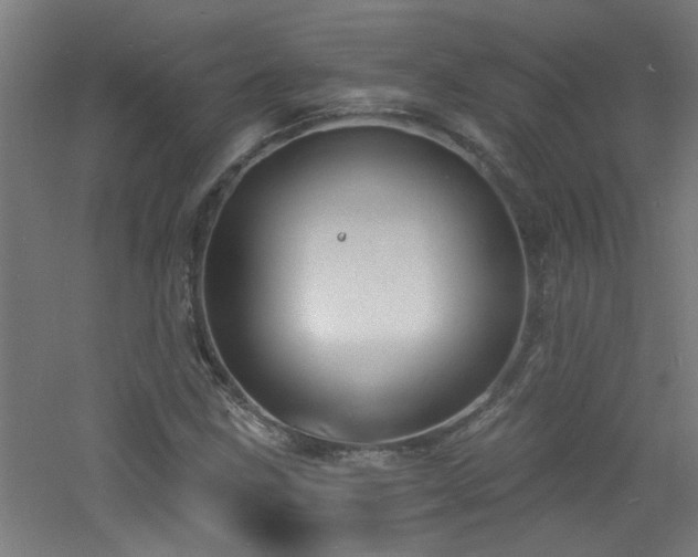 X0000060811211200511101444