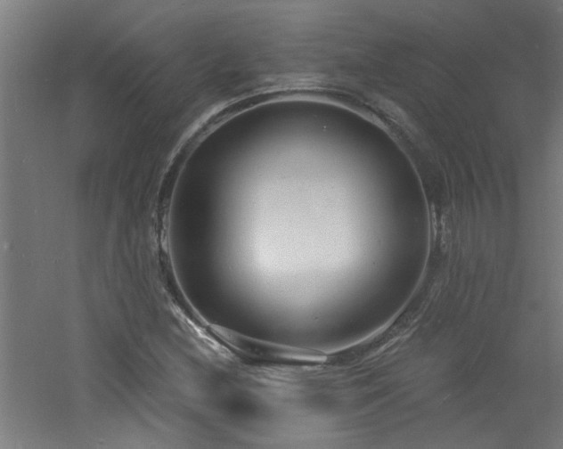 X0000060811212200511101444