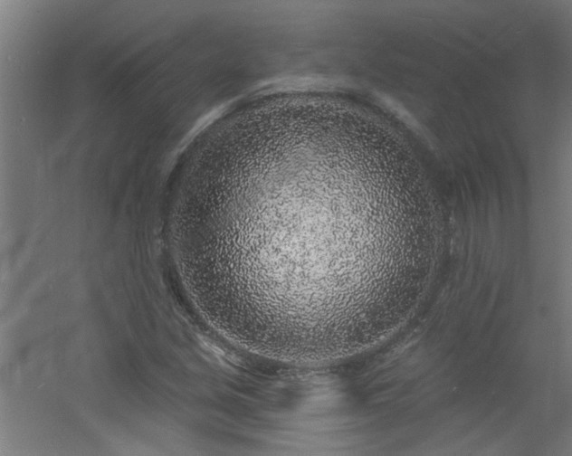 X0000060811213200511101444