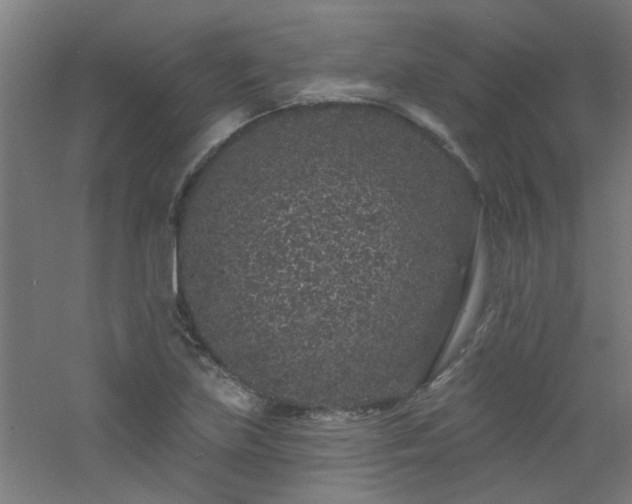 X0000060811219200511101444