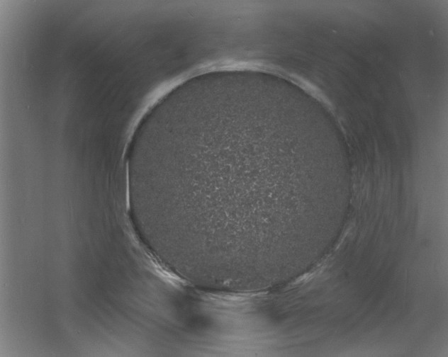 X0000060811223200511101444