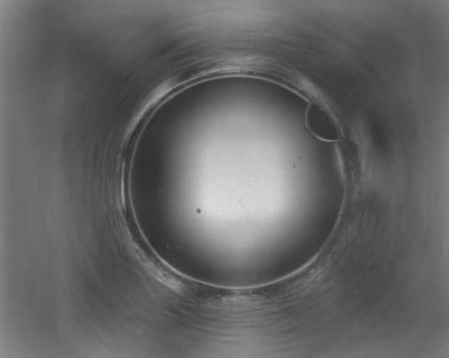 X0000060811227200511101444