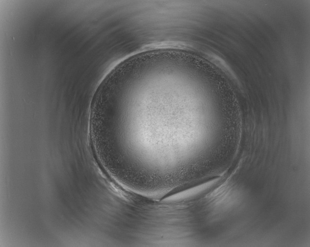 X0000060811228200511101444