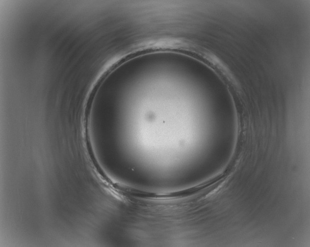 X0000060811232200511101444