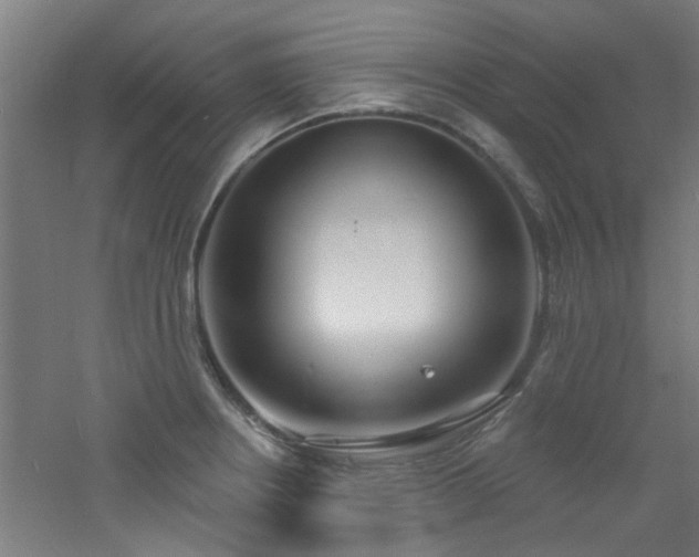 X0000060811234200511101444