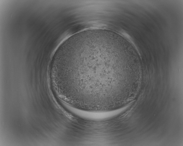 X0000060811235200511101444