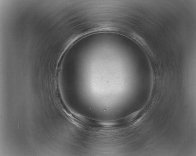 X0000060811236200511101444