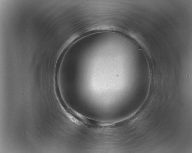 X0000060811237200511101444