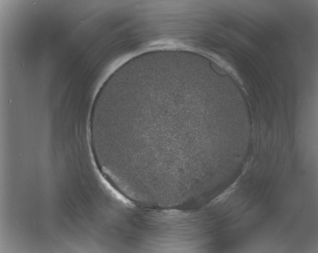 X0000060811239200511101444